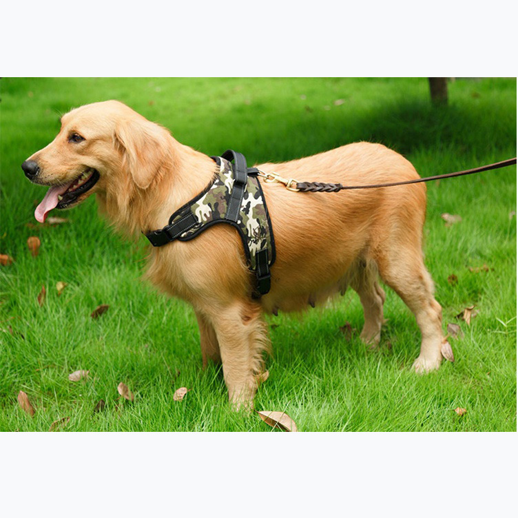 Adjustable Oxford Dog Harness 