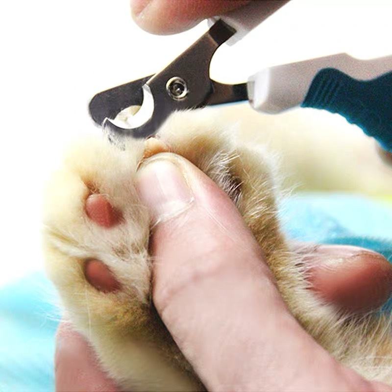 cat nail clipper 03