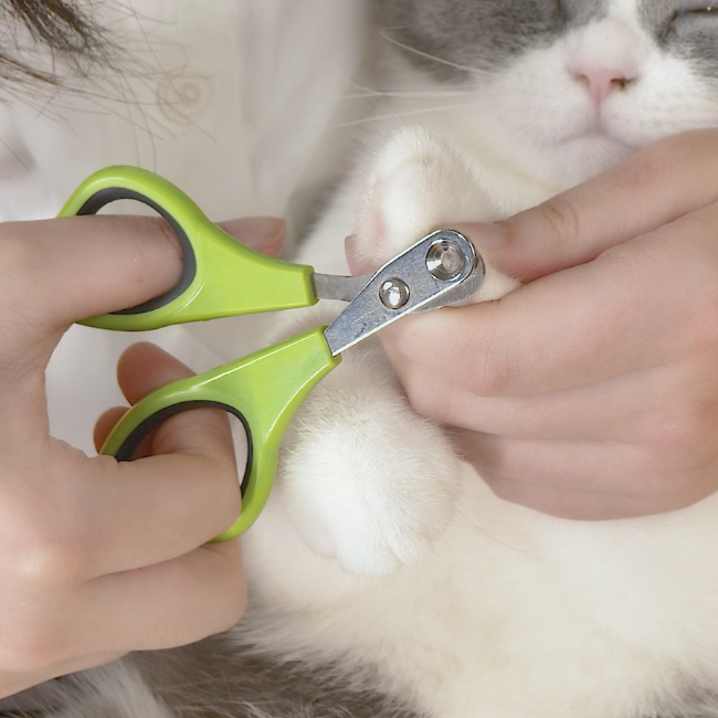 cat nail clipper 04