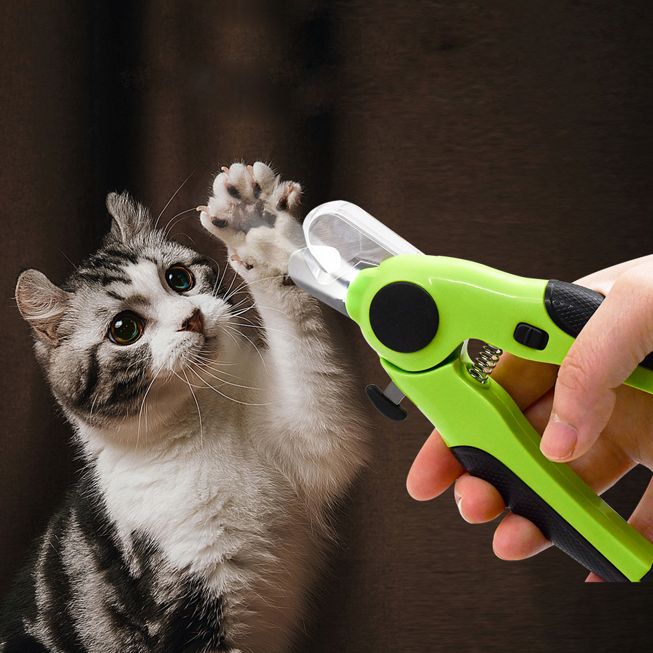 cat nail clipper 05