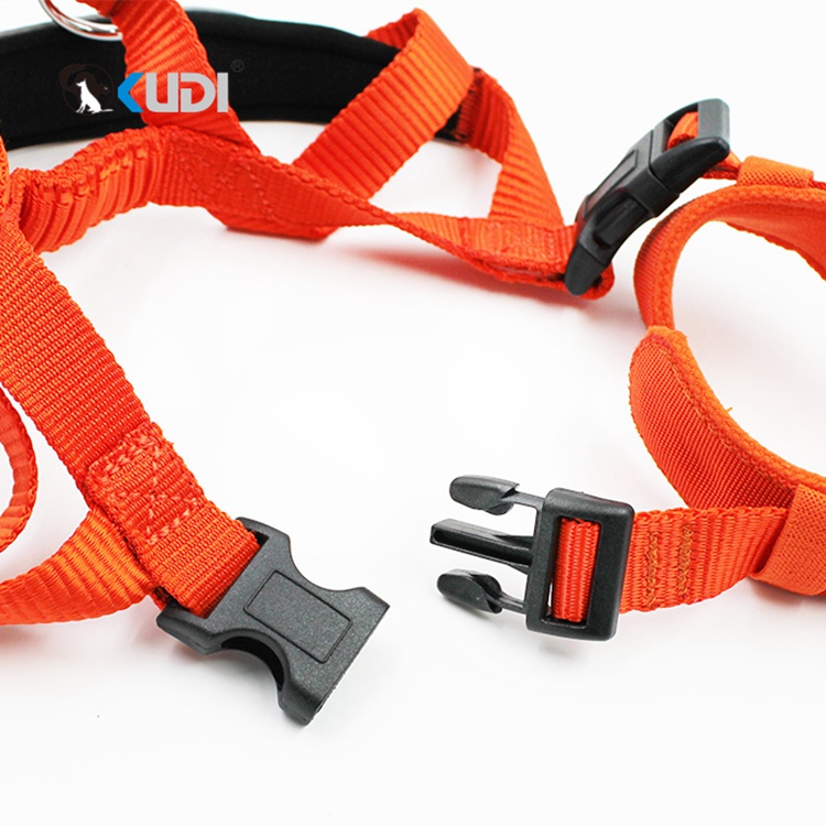 Custom Harness For Dogs