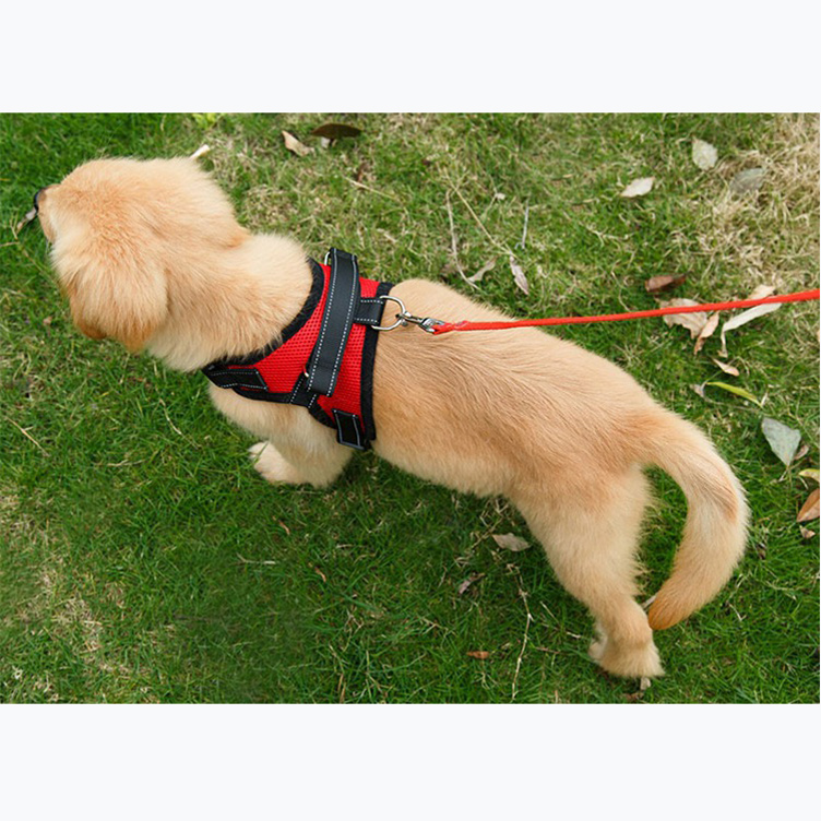 Nylon Mesh Dog Harness 