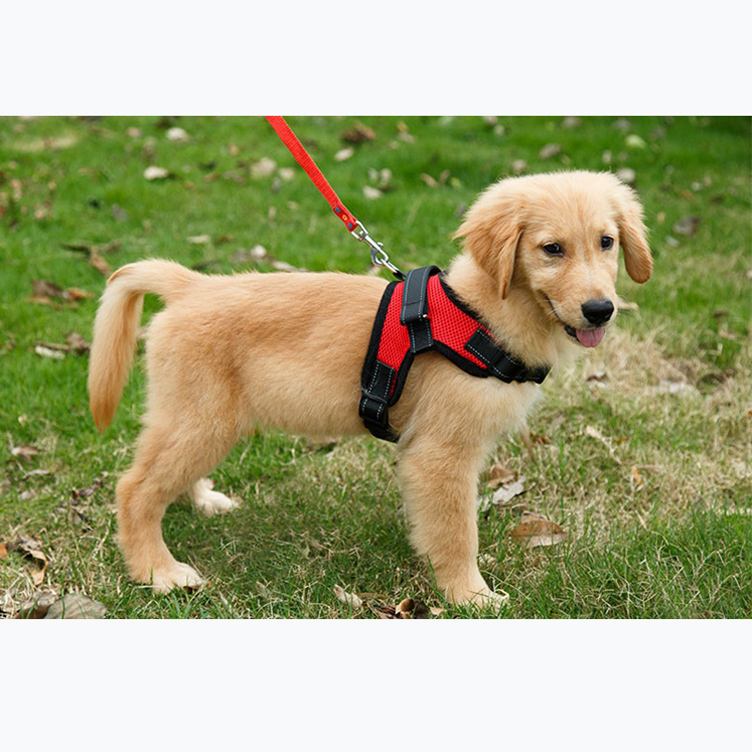 Nylon Mesh Dog Harness 