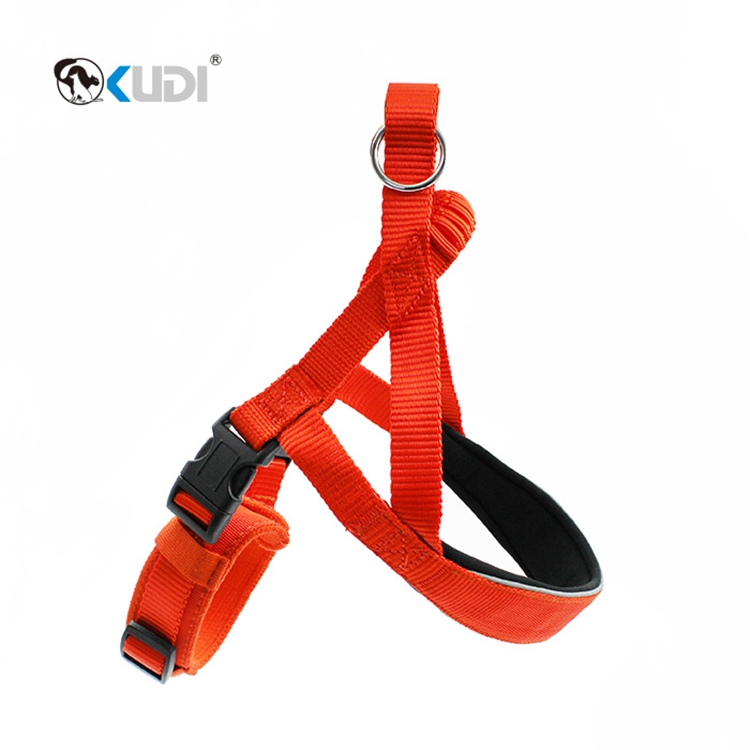 Custom Harness For Dogs